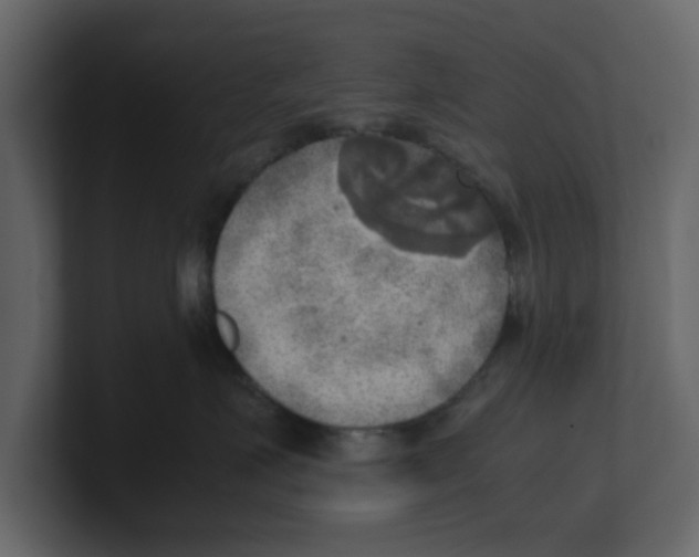 X0000100480623200807111102