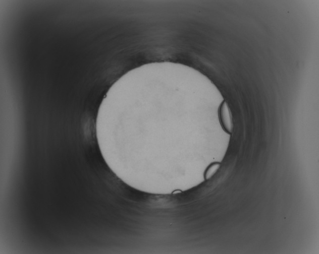 X0000100480624200807111102