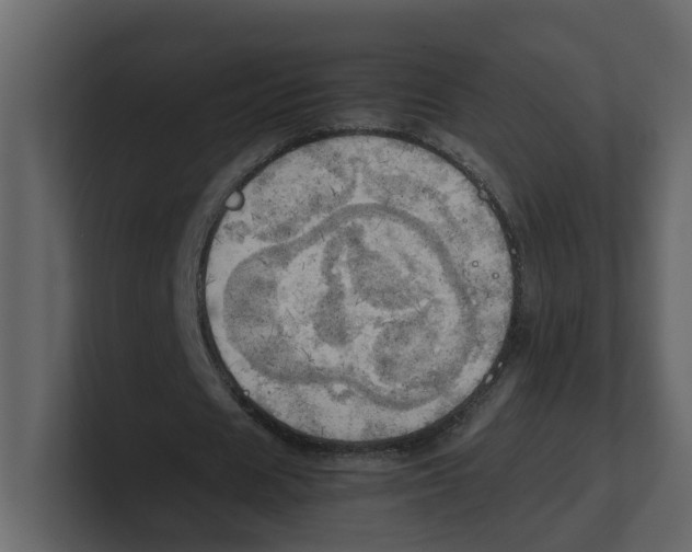 X0000100480625200807111102