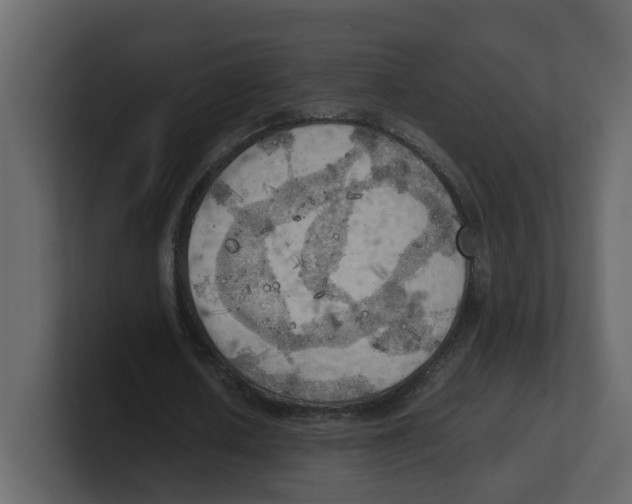 X0000100480626200807111102