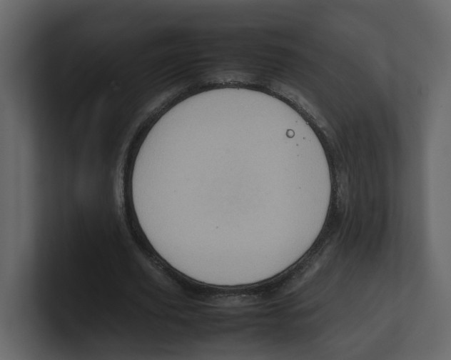 X0000100480629200807111102