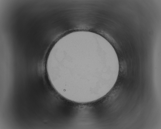 X0000100480632200807111102