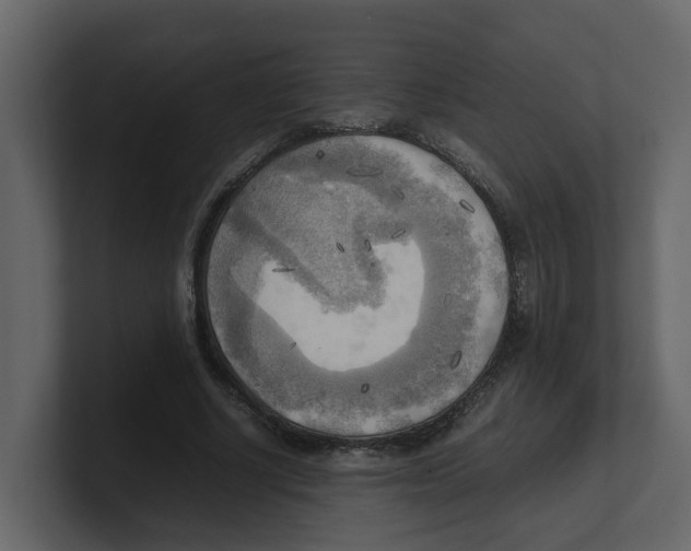 X0000100480634200807111102