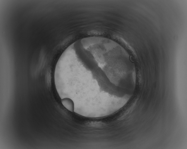 X0000100480637200807111102