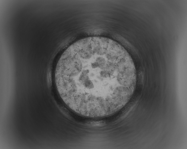 X0000100480638200807111102