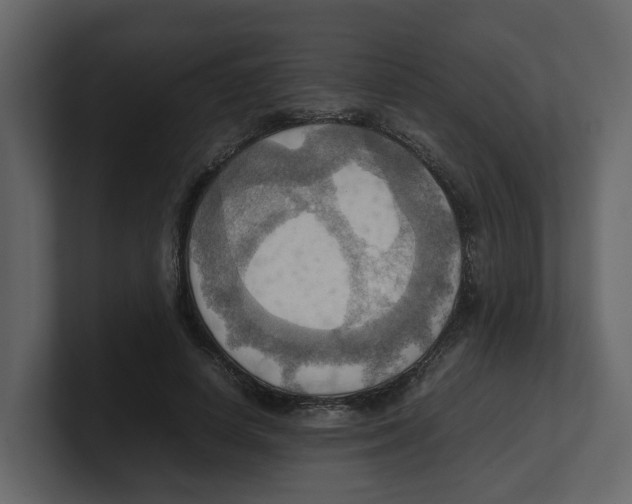 X0000100480642200807111102