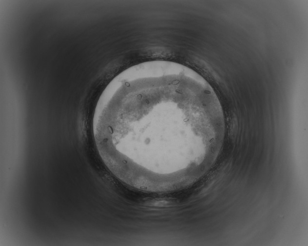 X0000100480643200807111102