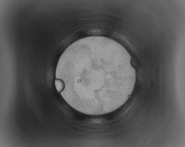 X0000100480645200807111102