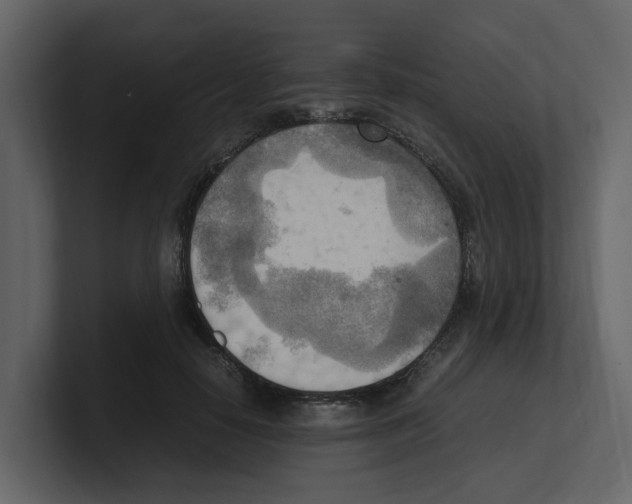 X0000100480650200807111102