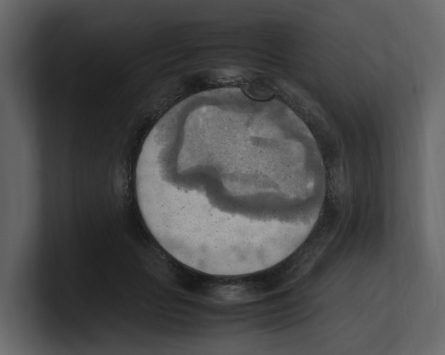 X0000100480653200807111102