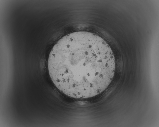 X0000100480654200807111102