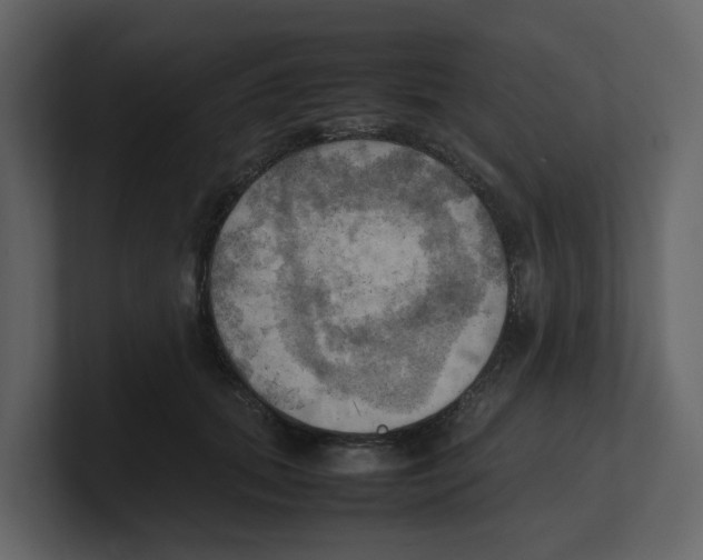 X0000100480655200807111102