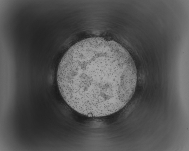 X0000100480656200807111102