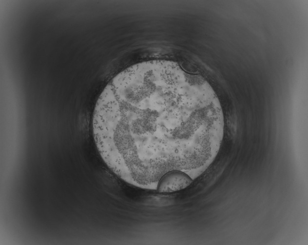 X0000100480657200807111102