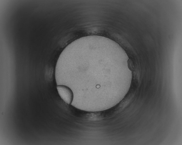 X0000100480660200807111102