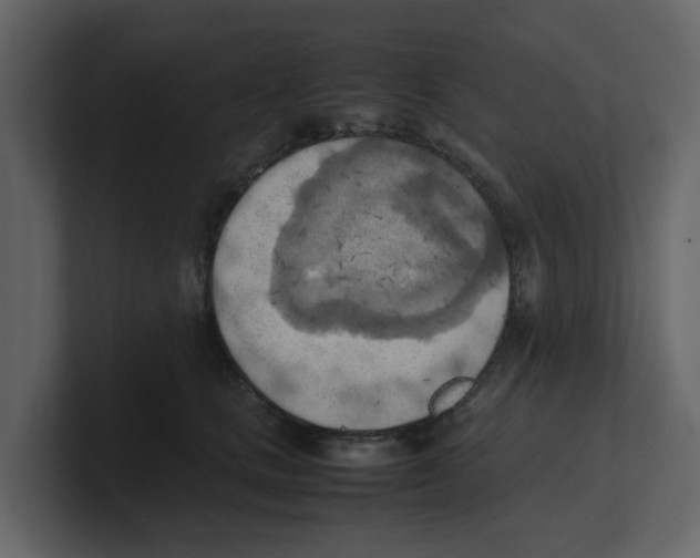 X0000100480661200807111102