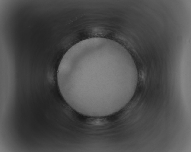 X0000100480663200807111102