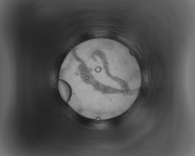 X0000100480667200807111102