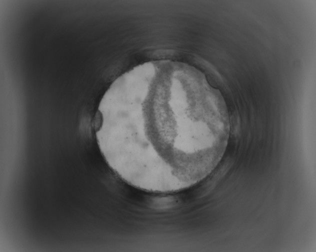 X0000100480669200807111102