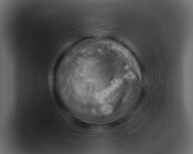 X0000100480679200807111102