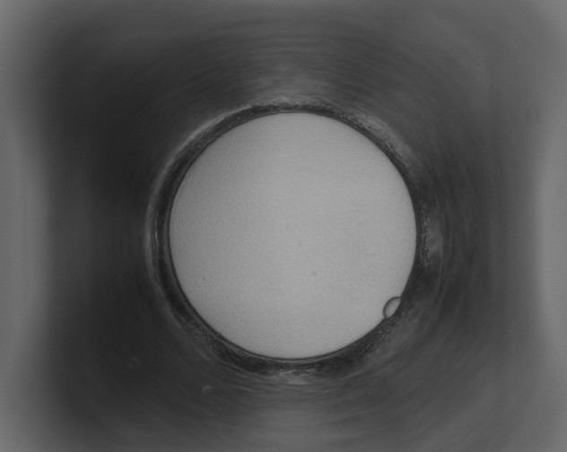 X0000100480680200807111102