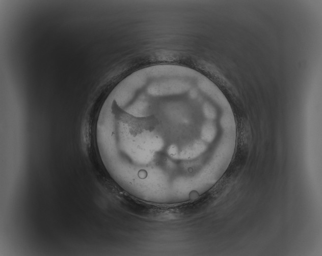 X0000100480683200807111102