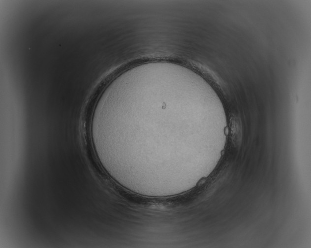 X0000100480684200807111102