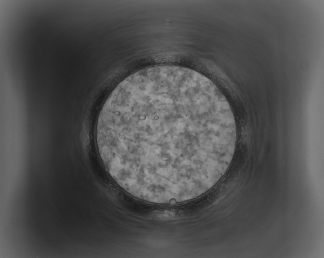 X0000100480687200807111102