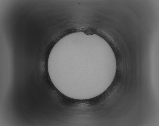 X0000100480689200807111102