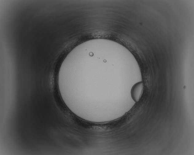 X0000100480690200807111102