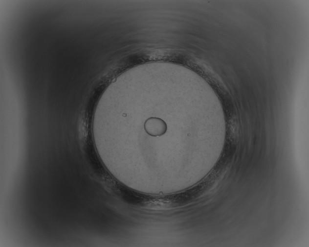 X0000100480691200807111102