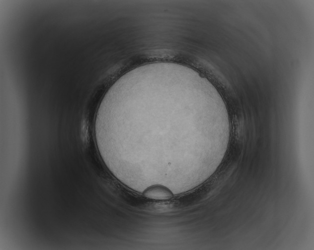 X0000100480692200807111102