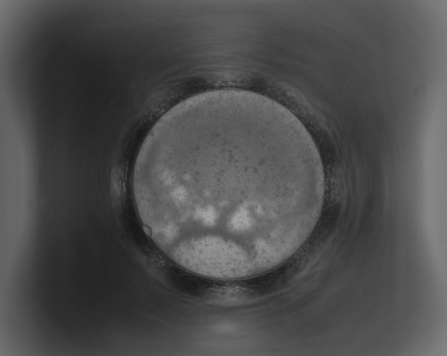 X0000100480695200807111101