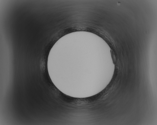 X0000100480697200807111101