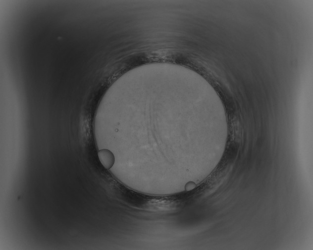 X0000100480699200807111101