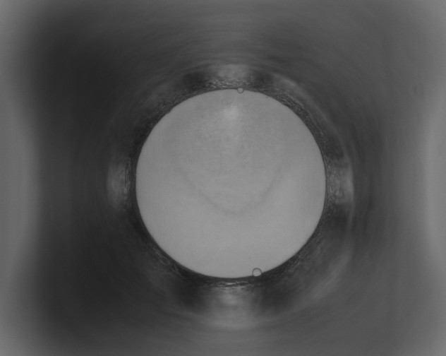 X0000100480701200807111101