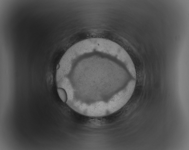 X0000100480703200807111101