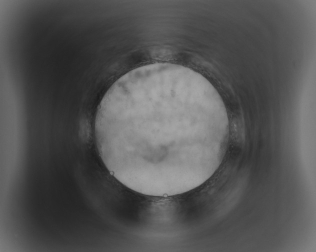 X0000100480705200807111101