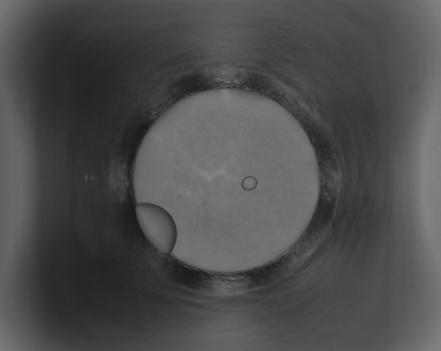 X0000100480707200807111101