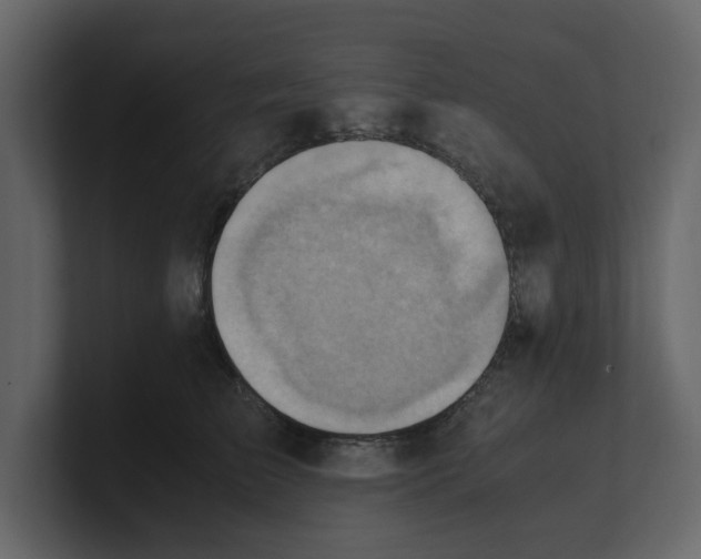 X0000100480709200807111101