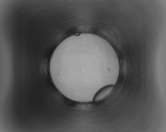 X0000100480712200807111101