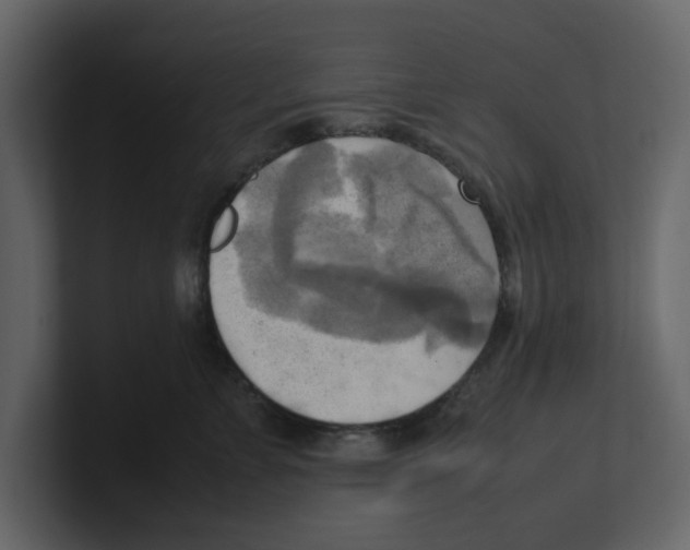 X0000100480715200807111101