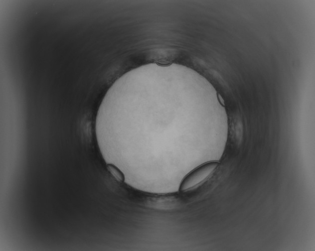 X0000100480716200807111101