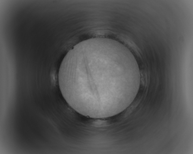 X0000100480718200807111101