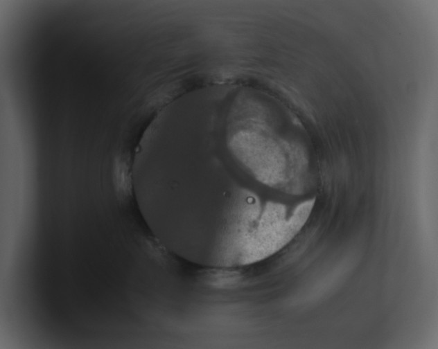 X0000100480719200807111101