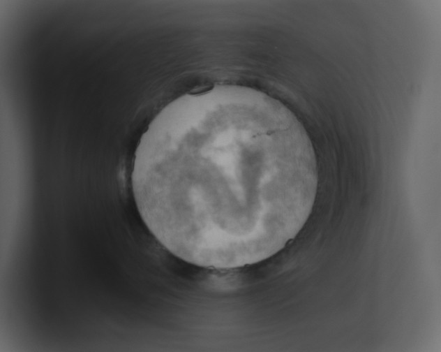 X0000100480720200807111101