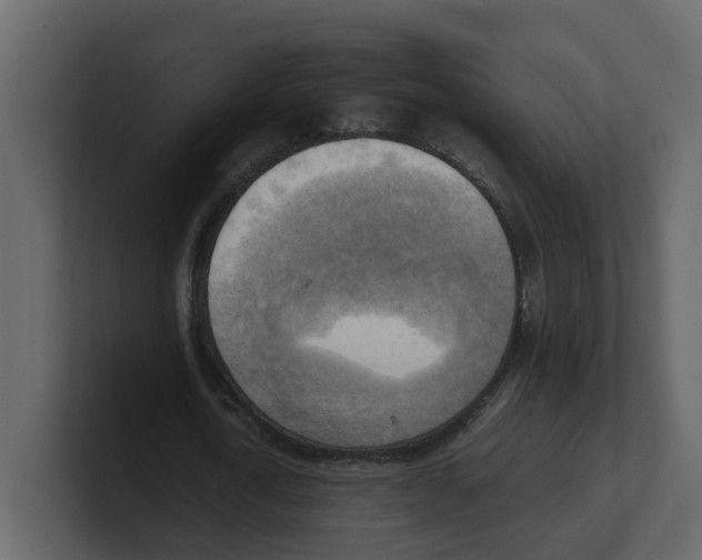 X0000100480722200807111100