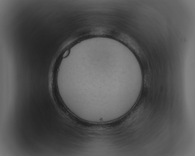 X0000100480724200807111101