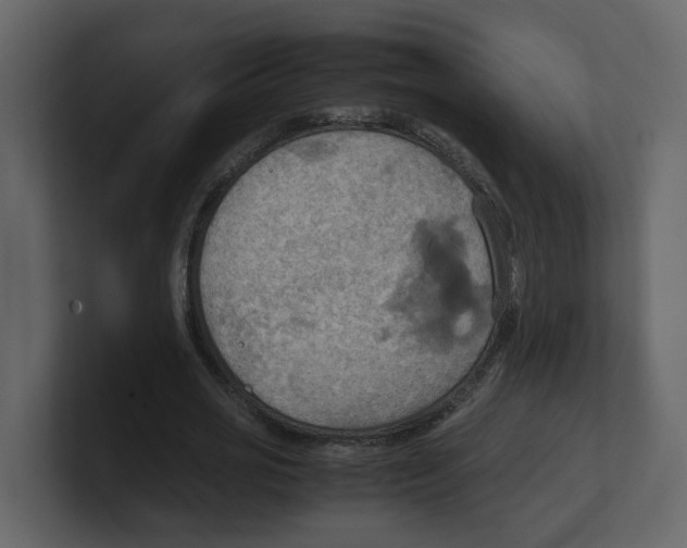 X0000100480725200807111101