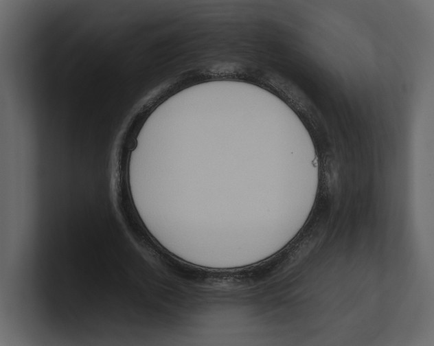 X0000100480728200807111101